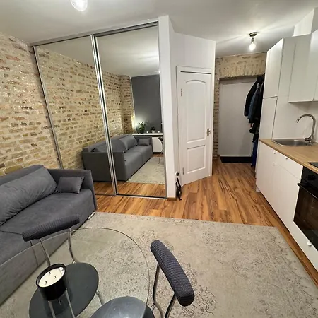 Efficient Fully Equipped Apartment *