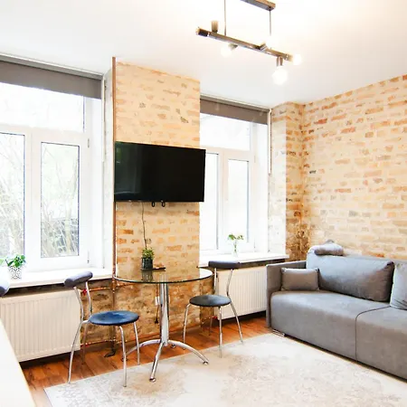 Efficient Fully Equipped Apartment Riga