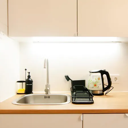 Efficient Fully Equipped Apartment Riga